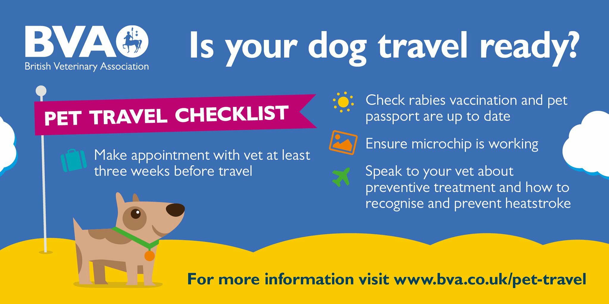 Travelling With Your Pet-What You Need To Know