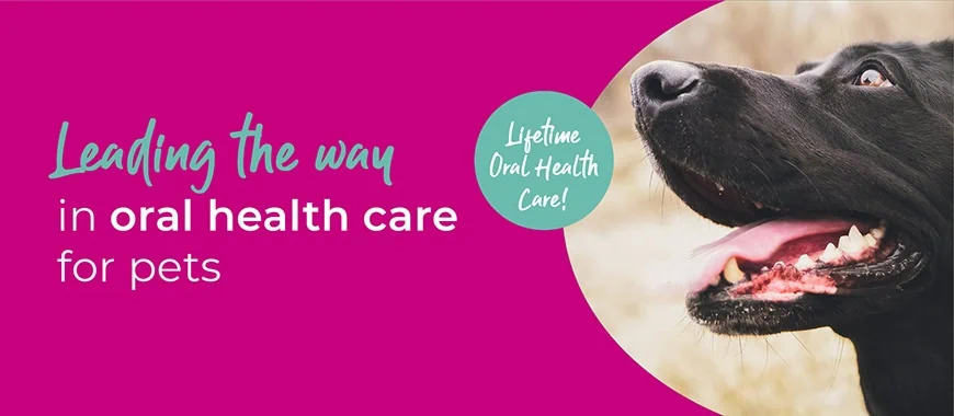 Cinque Ports Vets is a veterinary practice with 6 branches in Kent