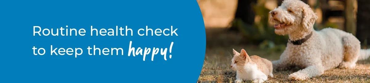 Pet Health Check in Kent & East Sussex | Preventative Vet Care