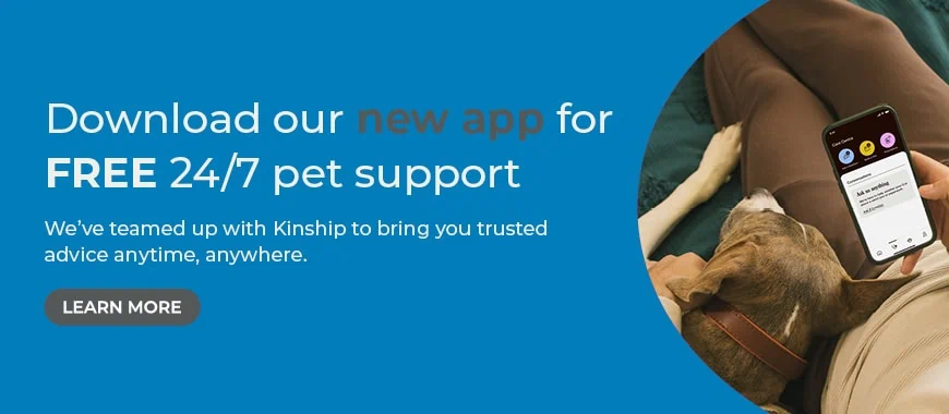 Cinque Ports Vets is a veterinary practice with 6 branches in Kent