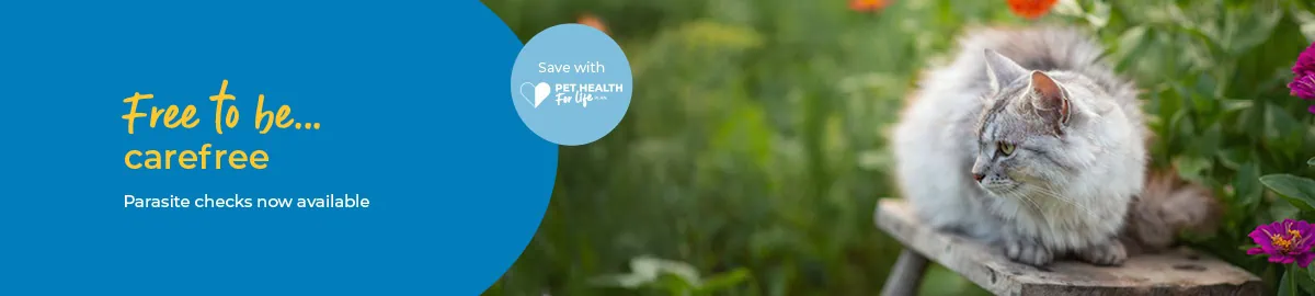 Flea treatment and Worm Treatment