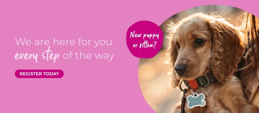 Cinque Ports Vets is a veterinary practice with 6 branches in Kent