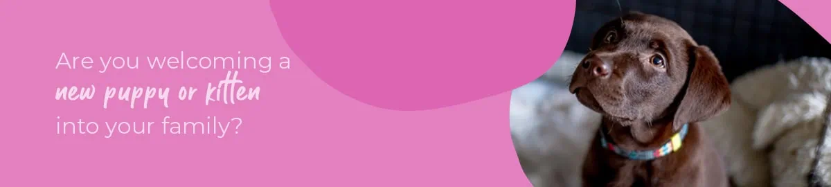 Welcoming your new puppy or kitten