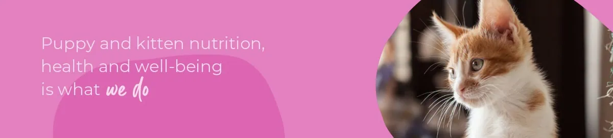 Welcoming your new puppy or kitten