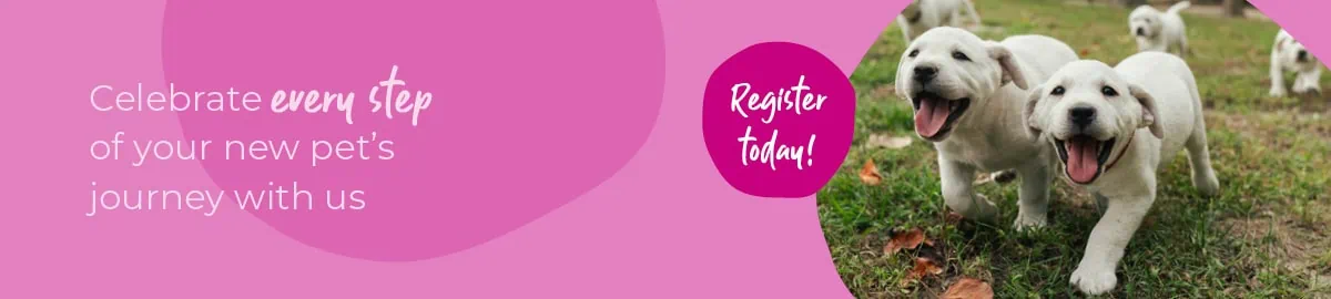 Welcoming your new puppy or kitten