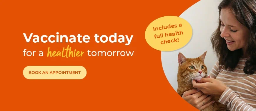 Cinque Ports Vets is a veterinary practice with 6 branches in Kent